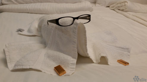 03.11.2015 19:31 | Towel Animal