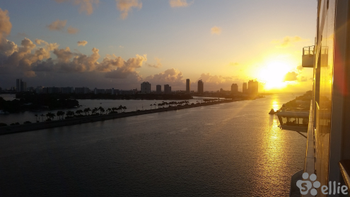 08.11.2015 06:42 | Good Morning Miami