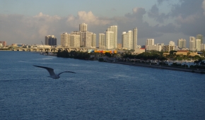 08.11.2015 | Good Morning Miami