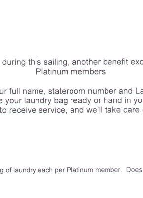 Platinum Laundry 2