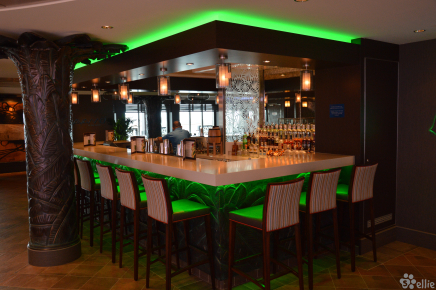 Sugarcane Mojito Bar